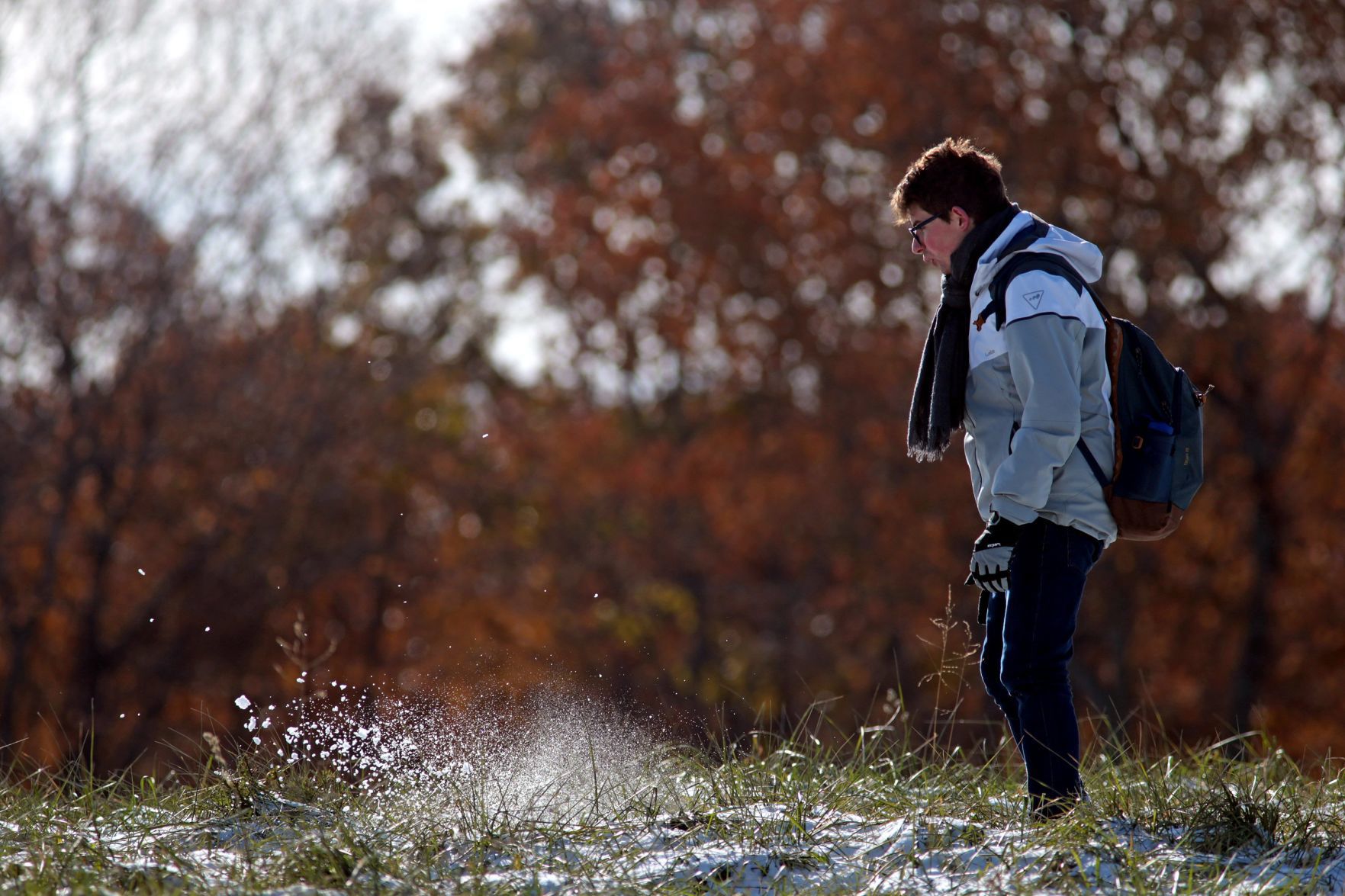 Searching for meteorites